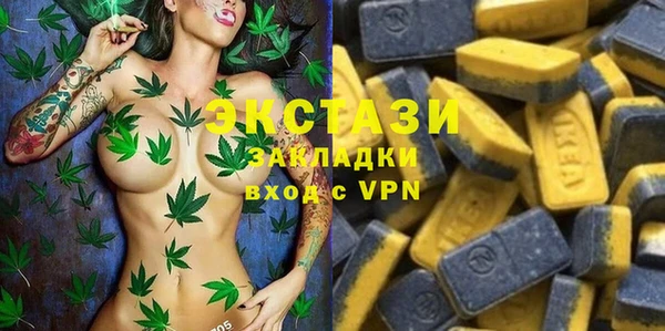 индика Алзамай