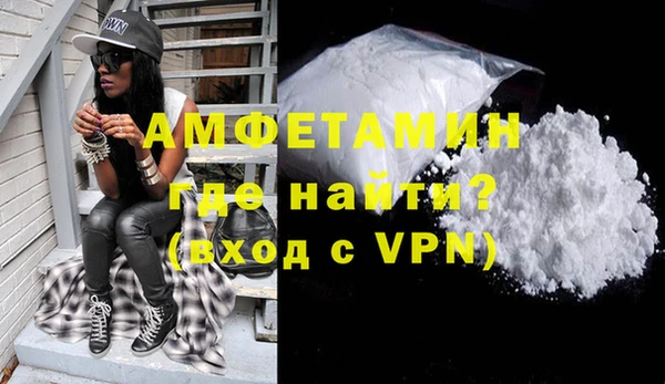 индика Алзамай