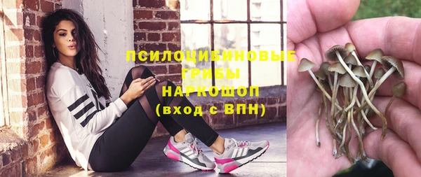 индика Алзамай