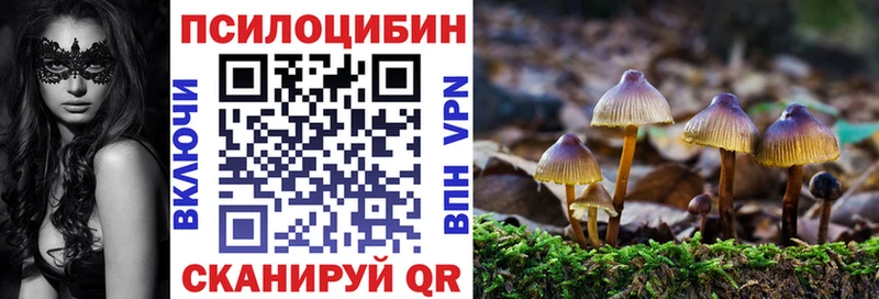 Псилоцибиновые грибы ЛСД  Волхов 