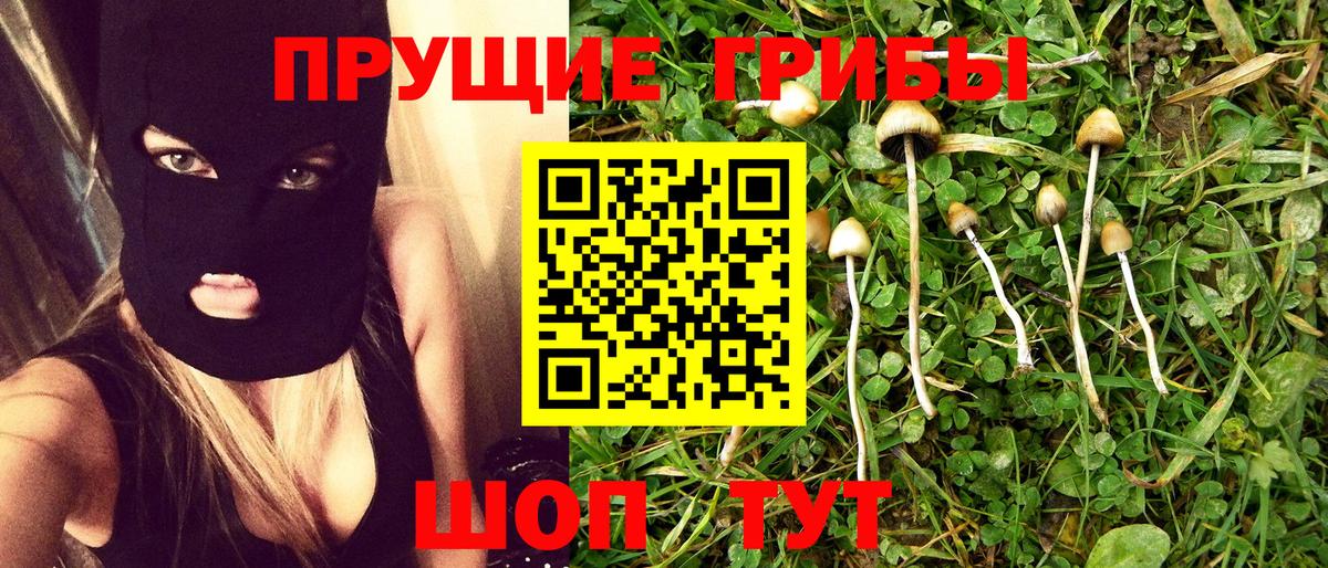 Волхов  Псилоцибиновые грибы ЛСД  Галлюциногенные грибы Psilocybe  Вход с VPN 